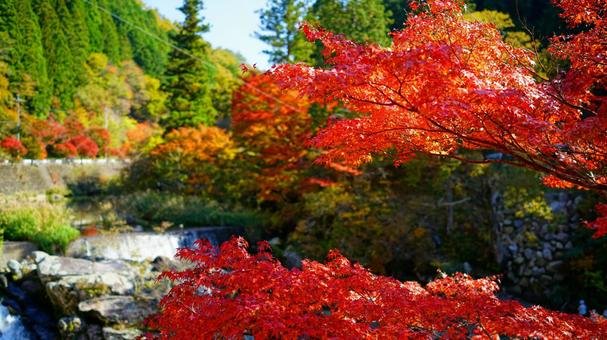🏞️ 오이다이라 공원(오이다이라 코엔)